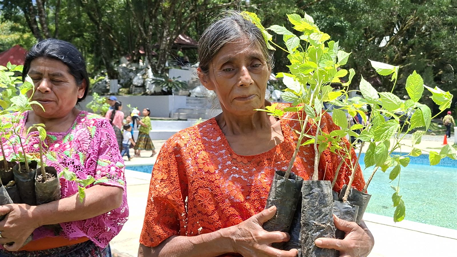 Women participating in a community reforestation activity