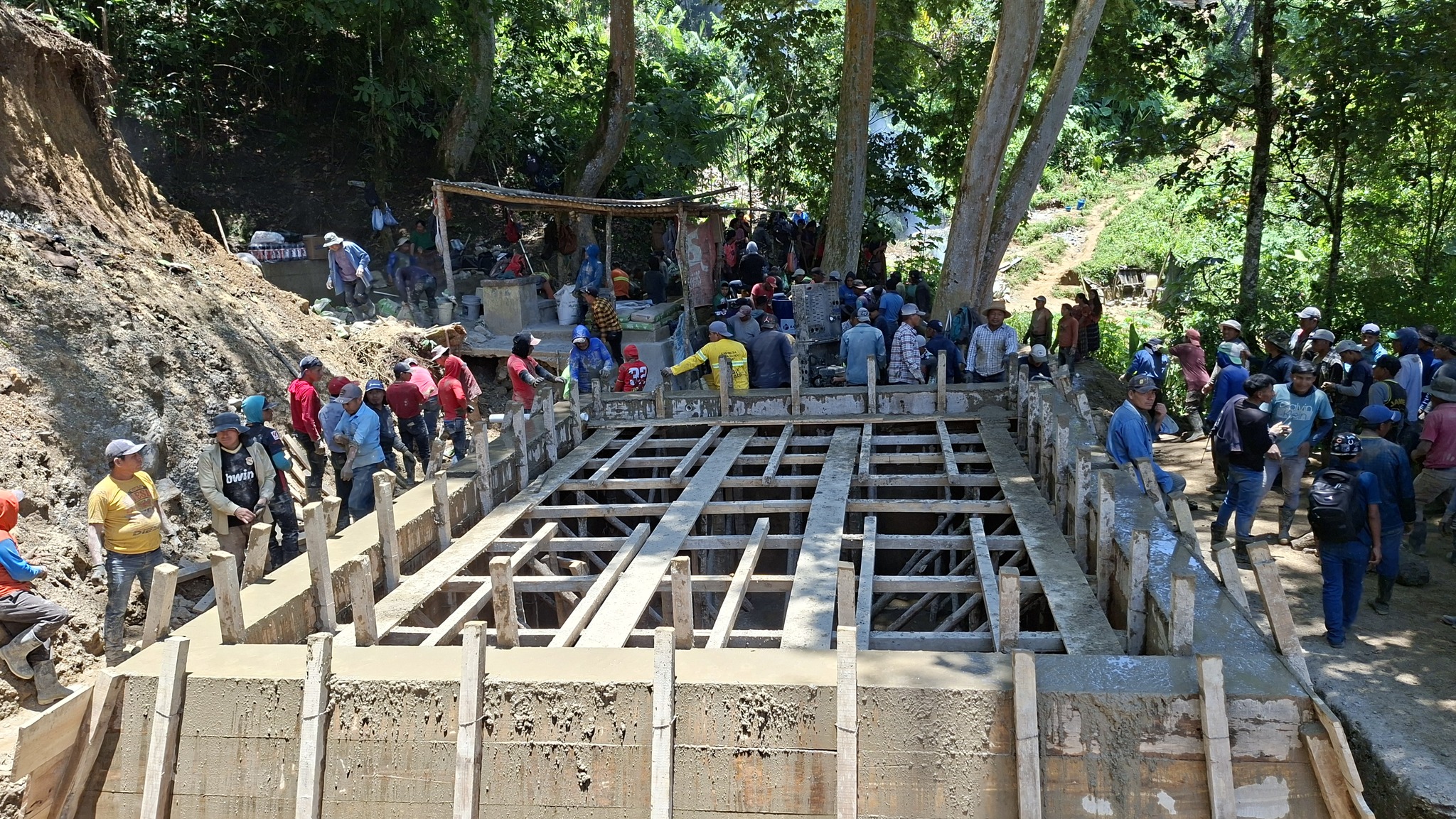 adicay image